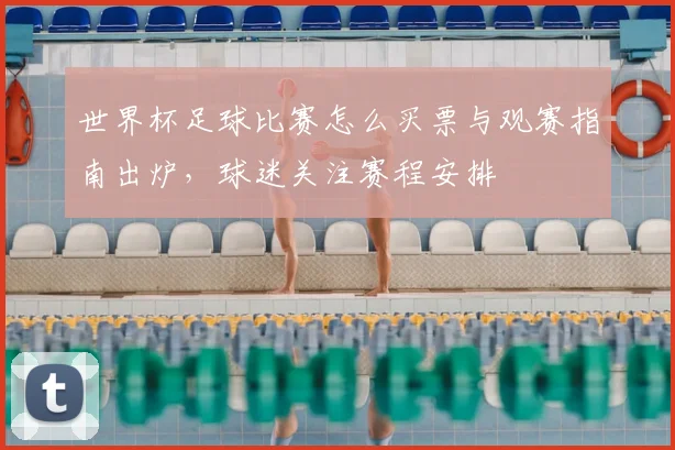 世界杯足球比赛怎么买票与观赛指南出炉,球迷关注赛程安排