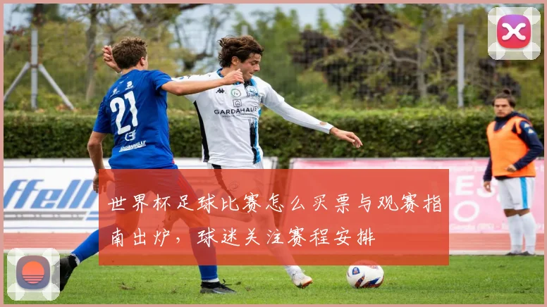 世界杯足球比赛怎么买票与观赛指南出炉,球迷关注赛程安排